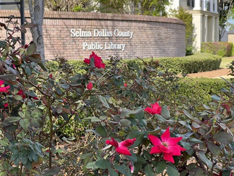 Library photo with flowers.jpg